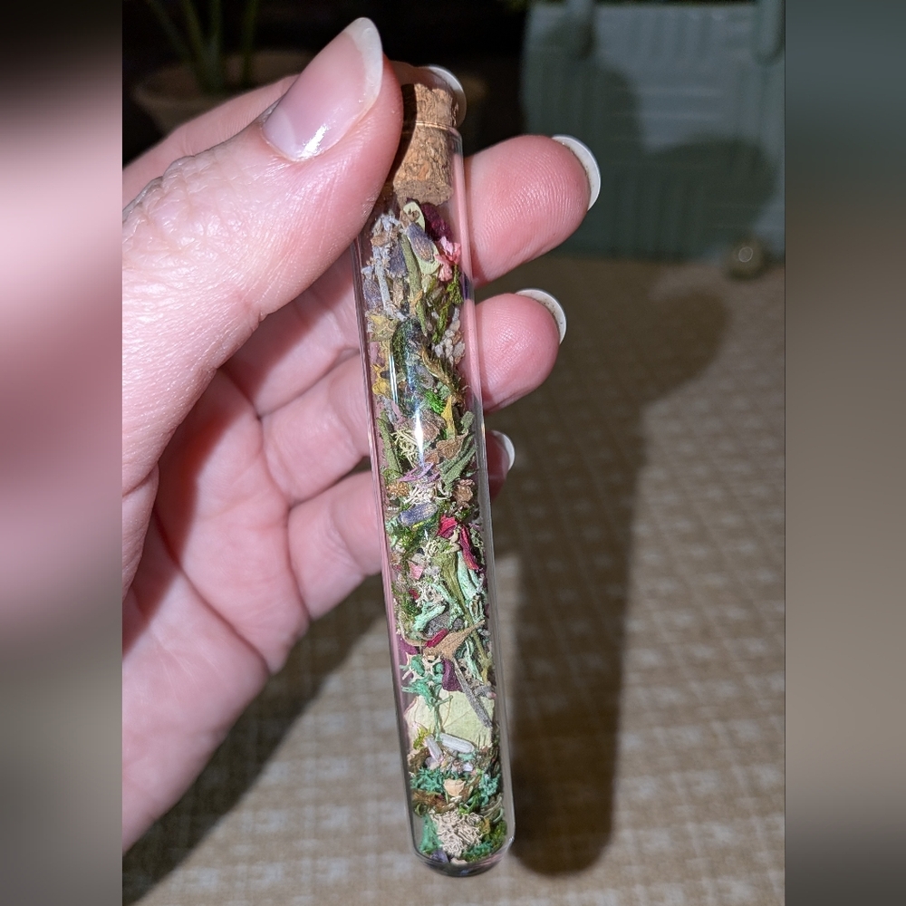 Handmade Botanical Glass Vial Terrarium - Picture 5 of 5